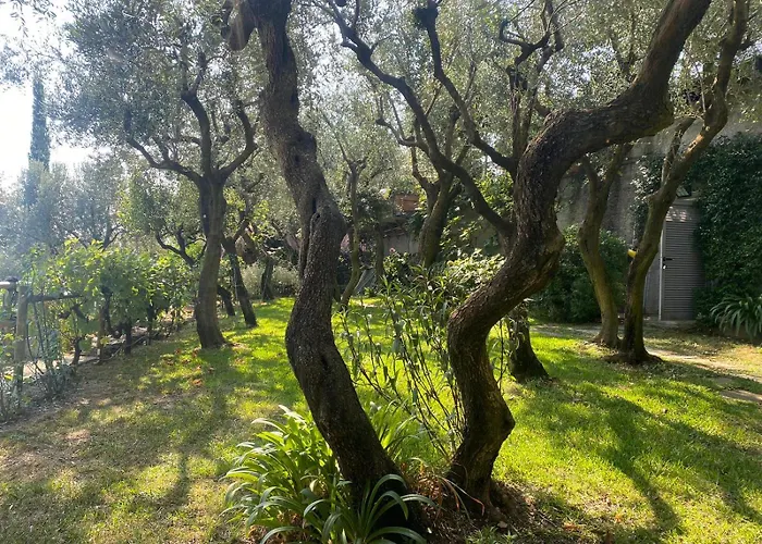 Apartment La Sosta Al Bagolaro *